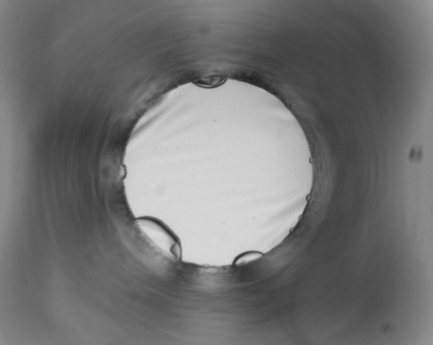 X0000112720240200909171111