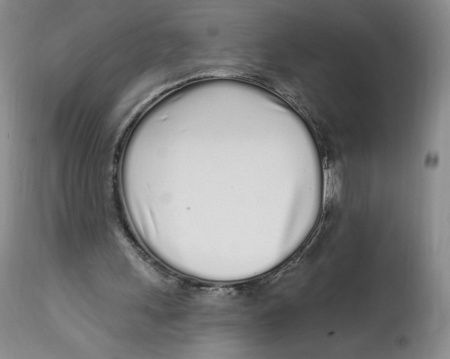 X0000112720243200909171111