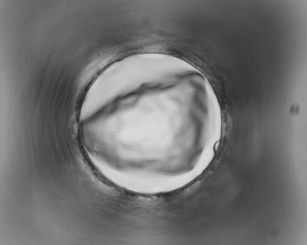 X0000112720245200909171111