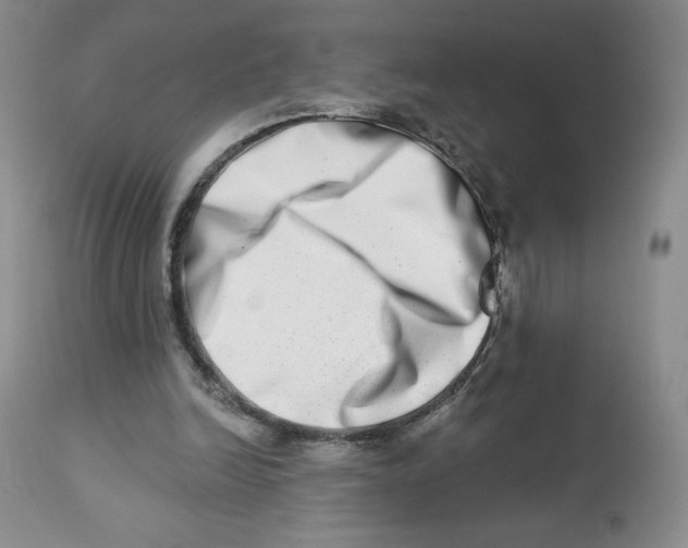 X0000112720246200909171111