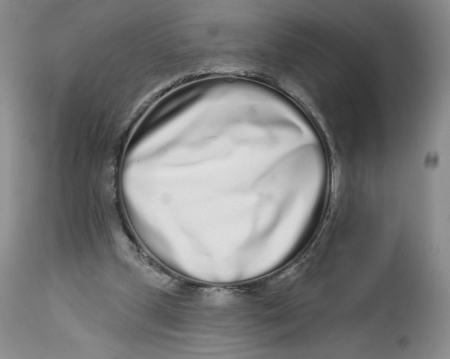 X0000112720249200909171111