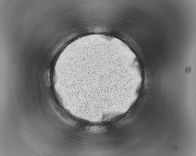 X0000112720251200909171111