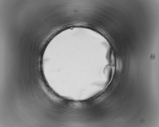 X0000112720253200909171111