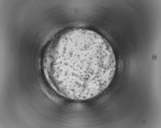 X0000112720254200909171111