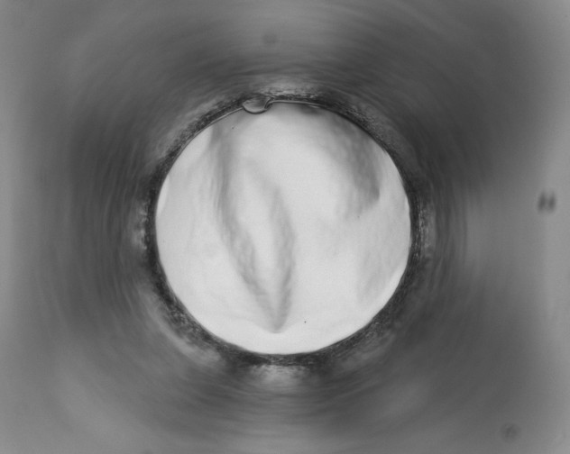 X0000112720255200909171111