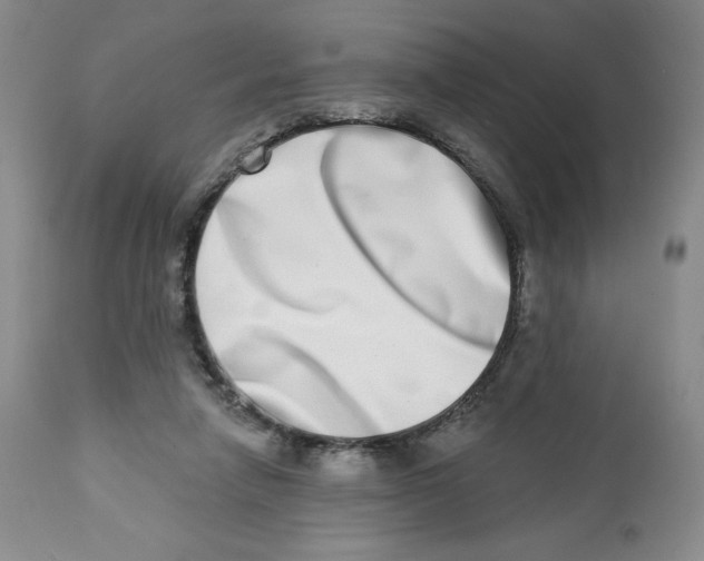 X0000112720258200909171111