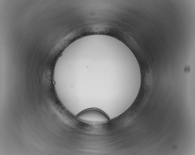 X0000112720260200909171111