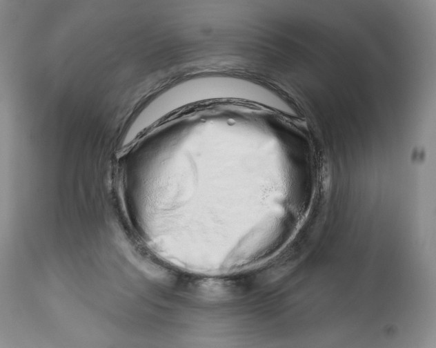 X0000112720261200909171111