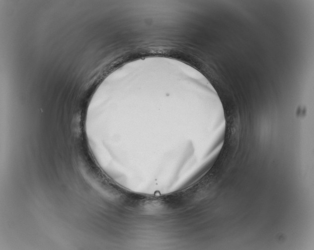 X0000112720262200909171111