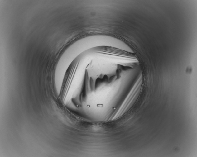 X0000112720264200909171111