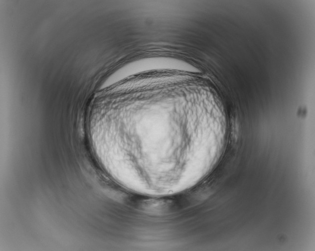 X0000112720267200909171111