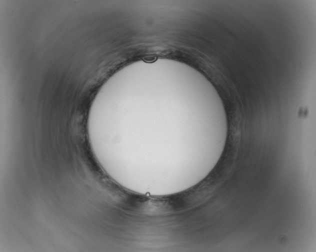 X0000112720270200909171111