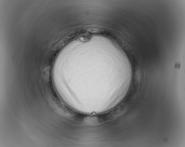 X0000112720271200909171111