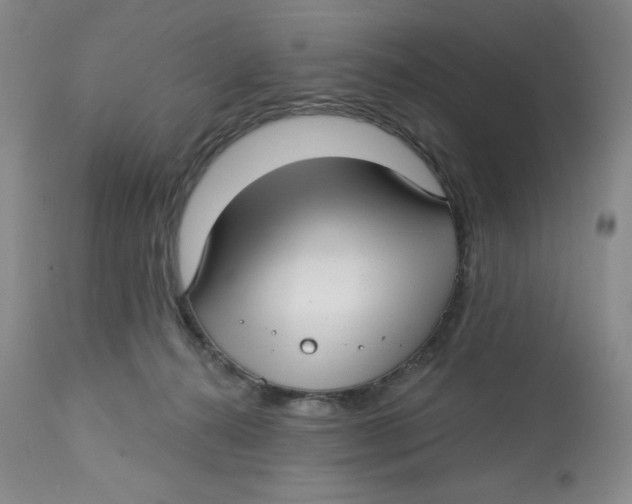 X0000112720272200909171111