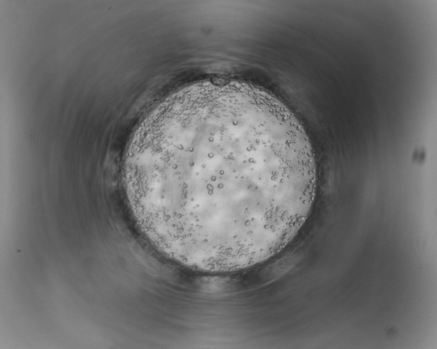 X0000112720273200909171111