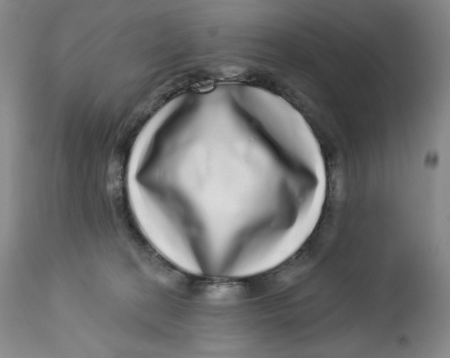 X0000112720274200909171111