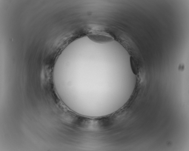 X0000112720276200909171111