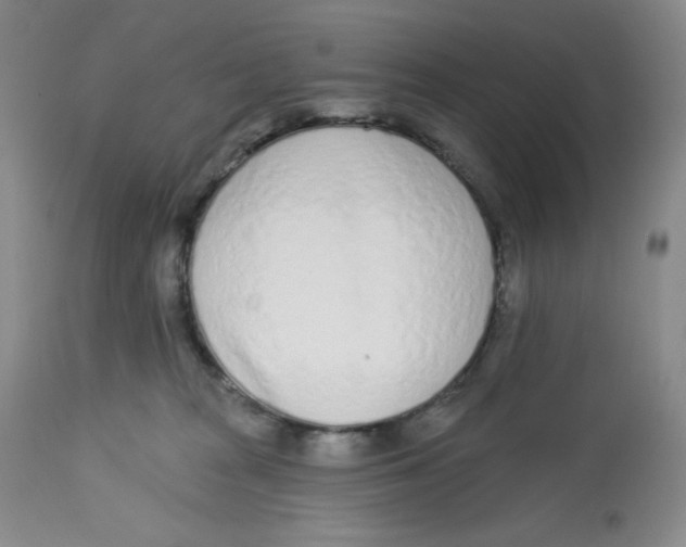 X0000112720277200909171111