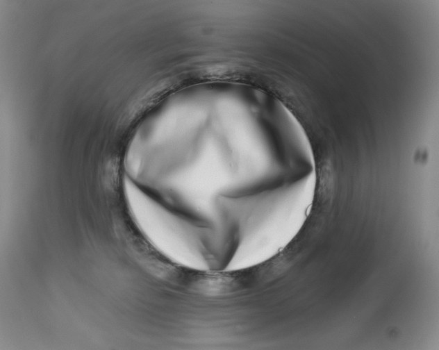 X0000112720278200909171111