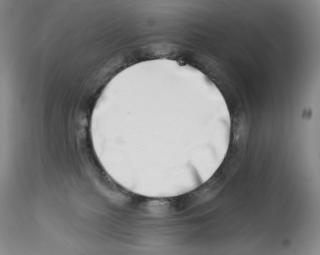 X0000112720279200909171111