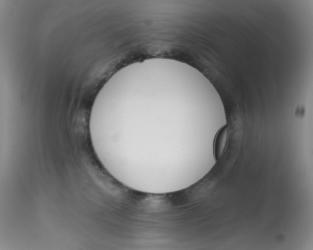 X0000112720280200909171111