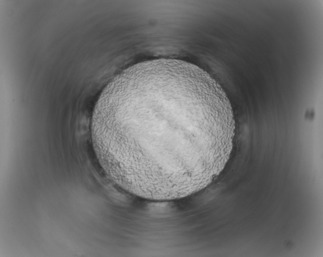 X0000112720281200909171111