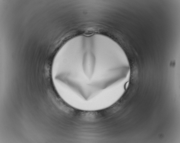 X0000112720282200909171111