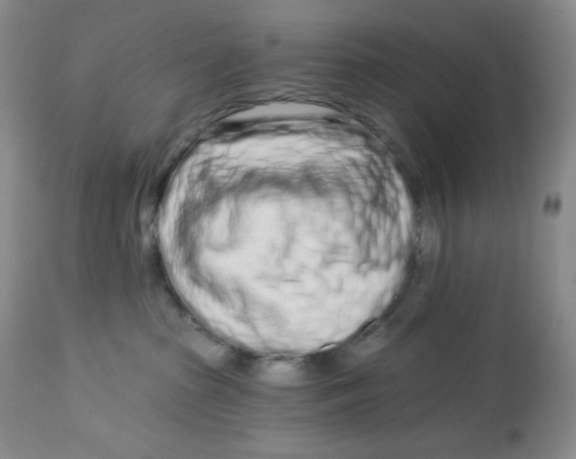 X0000112720285200909171111