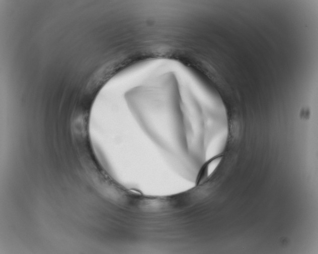 X0000112720286200909171111