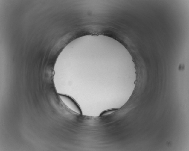 X0000112720288200909171111