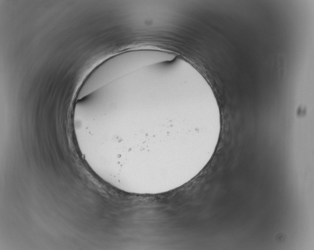 X0000112720289200909171111