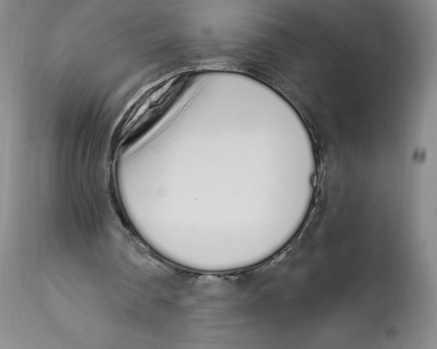 X0000112720290200909171111