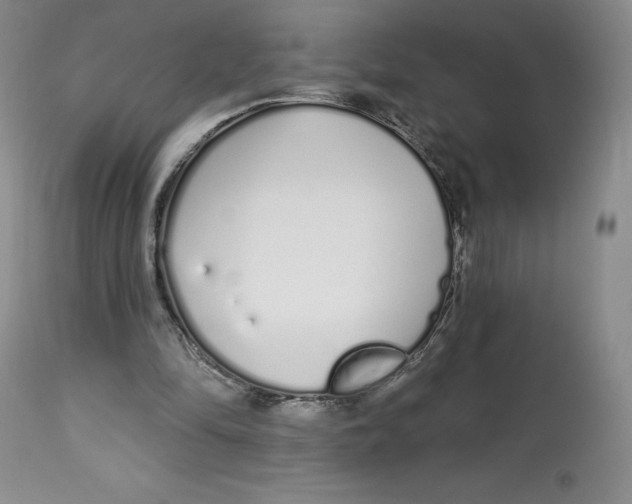 X0000112720294200909171111