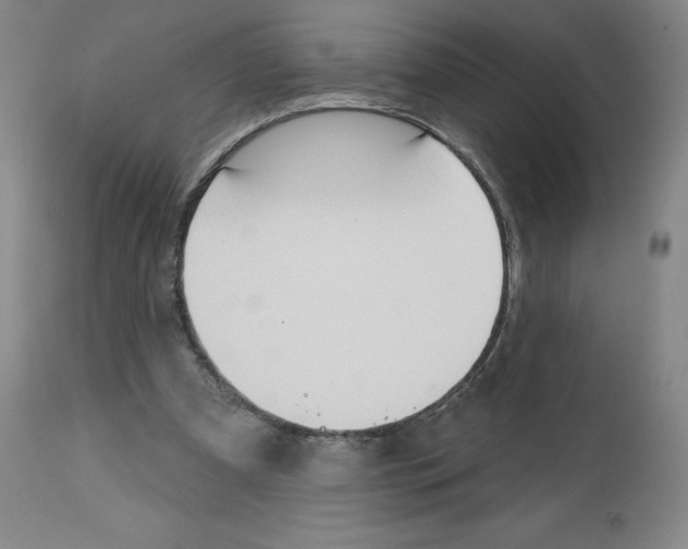 X0000112720297200909171110