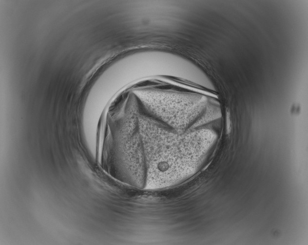 X0000112720300200909171110