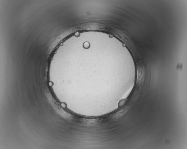 X0000112720301200909171110