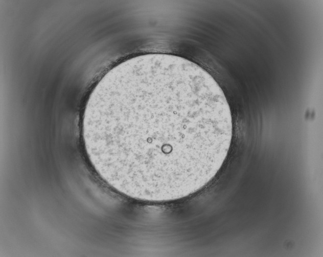 X0000112720302200909171110