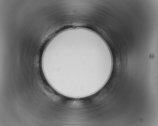 X0000112720303200909171110