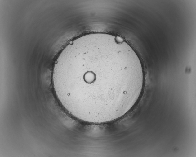 X0000112720305200909171110