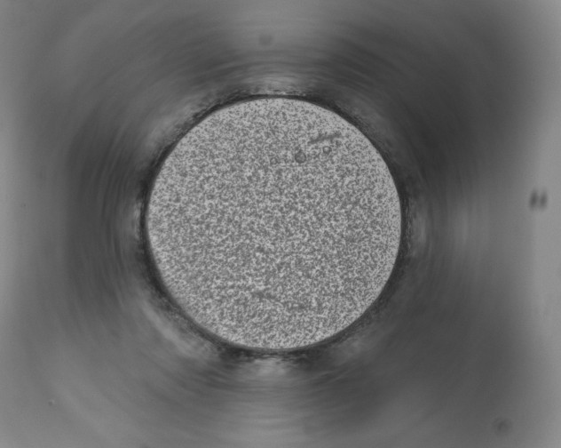 X0000112720310200909171110