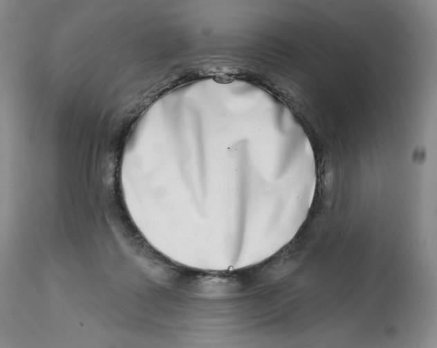 X0000112720315200909171110