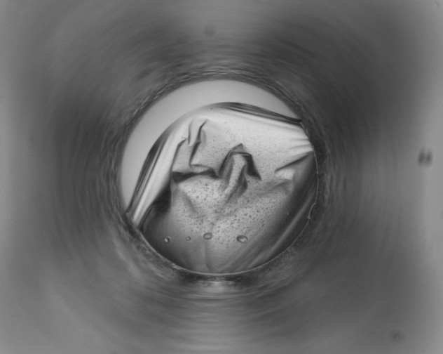 X0000112720316200909171110