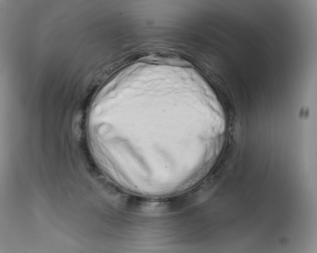 X0000112720319200909171110