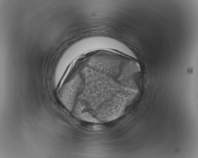 X0000112720324200909171110