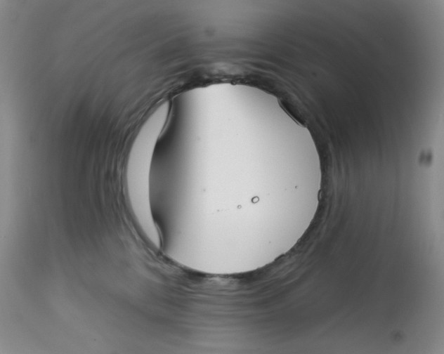 X0000112720328200909171110