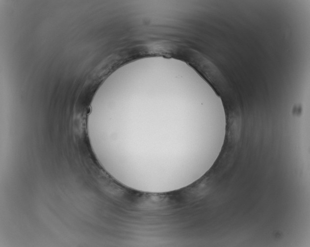 X0000112720329200909171110