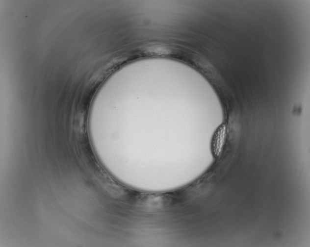 X0000112720330200909171110