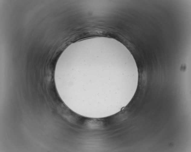 X0000112720331200909171110