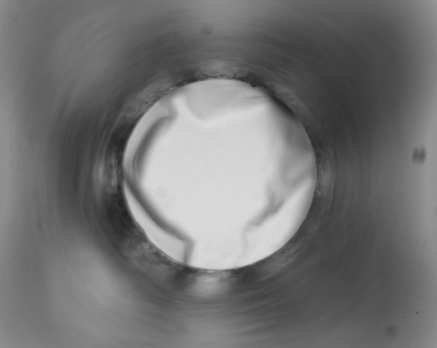 X0000112720334200909171110