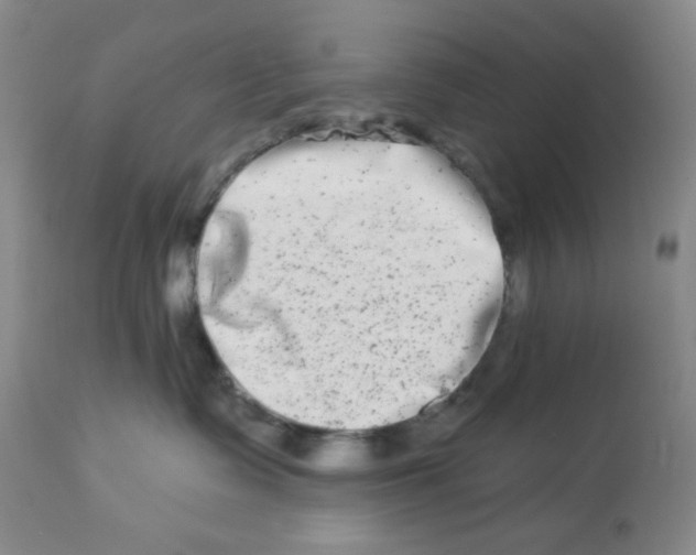 X0000112720335200909171110